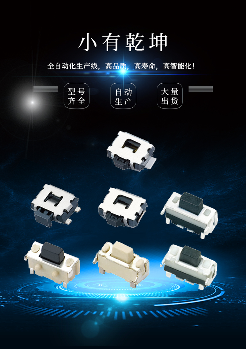 2*4輕觸開關